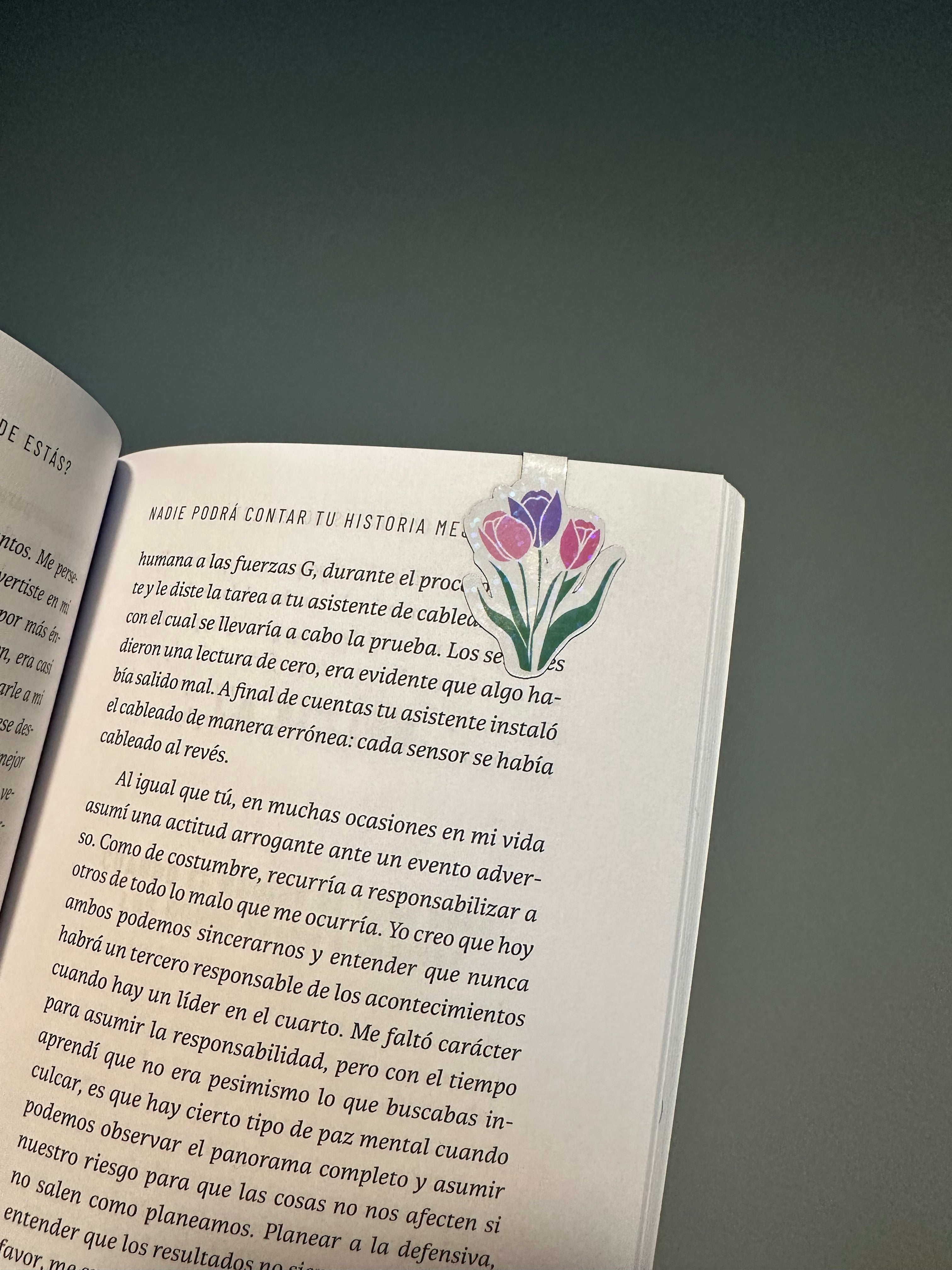 Marcador de libro magnético