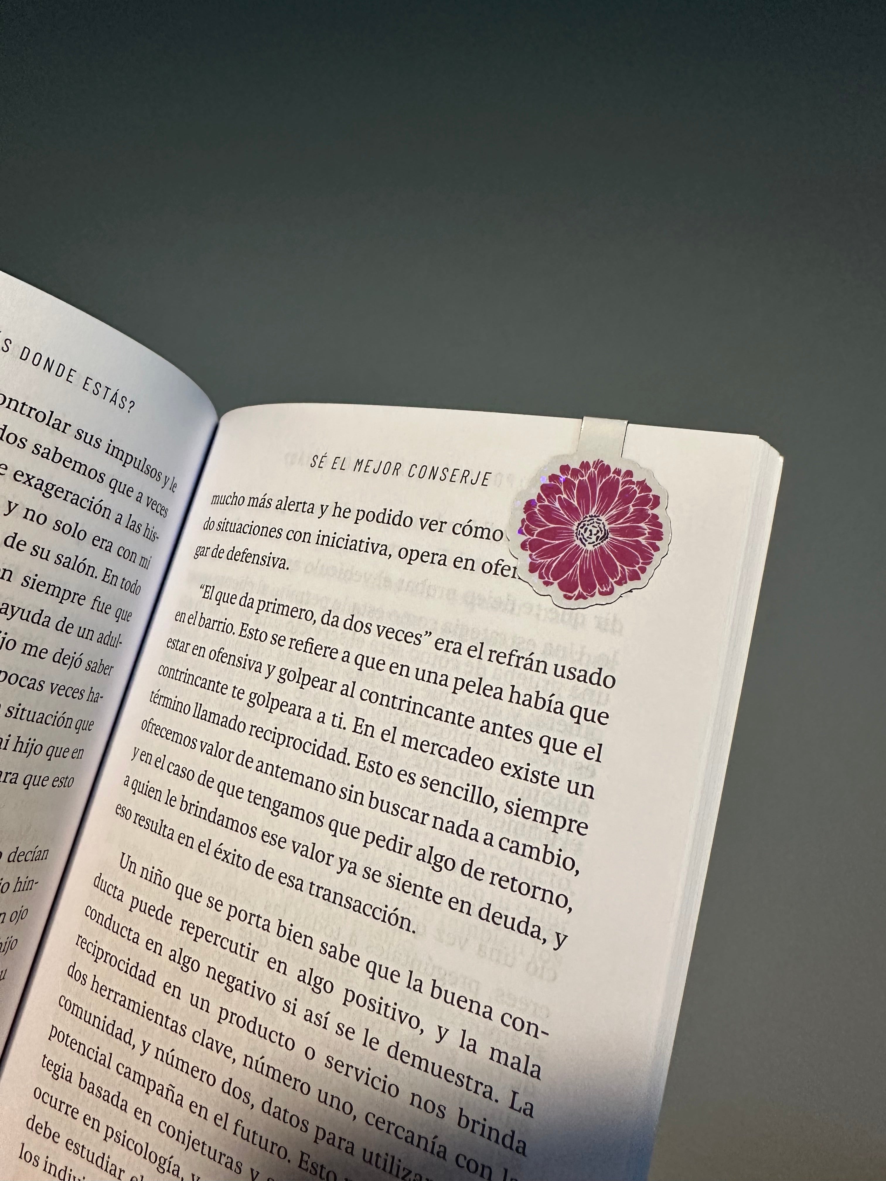 Marcador de libro magnético