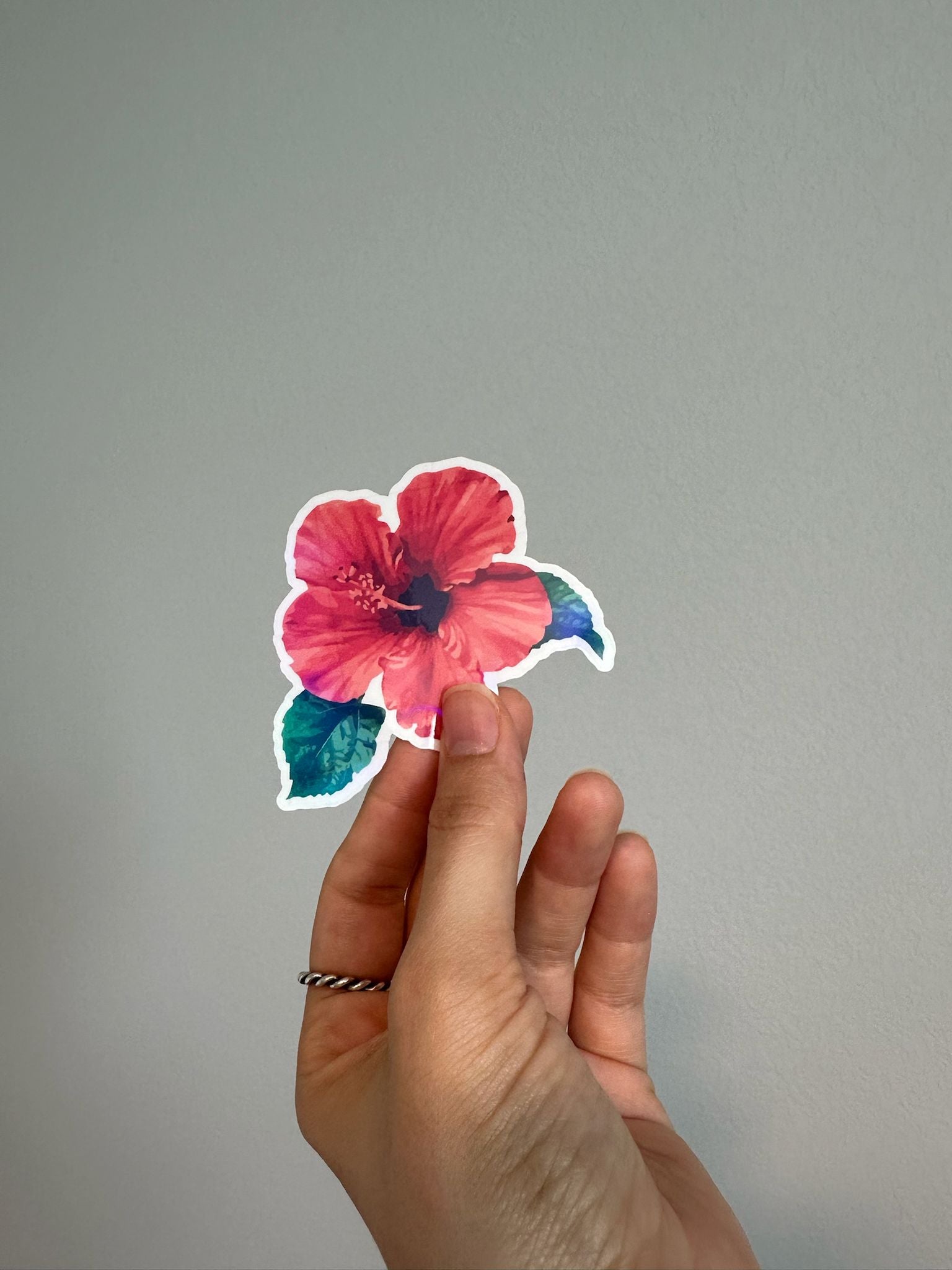 Amapola