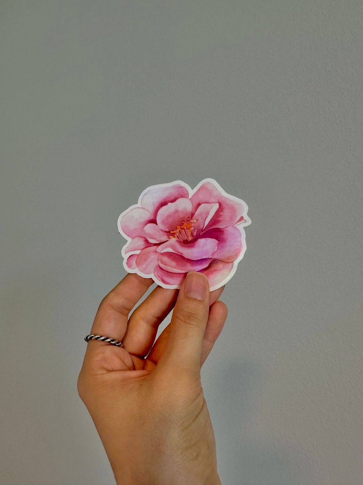 Camellia