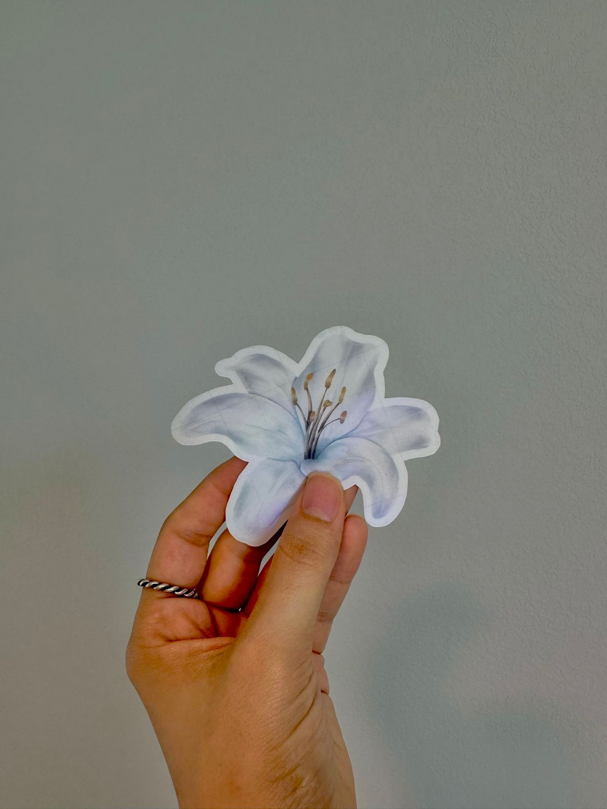 Lilly