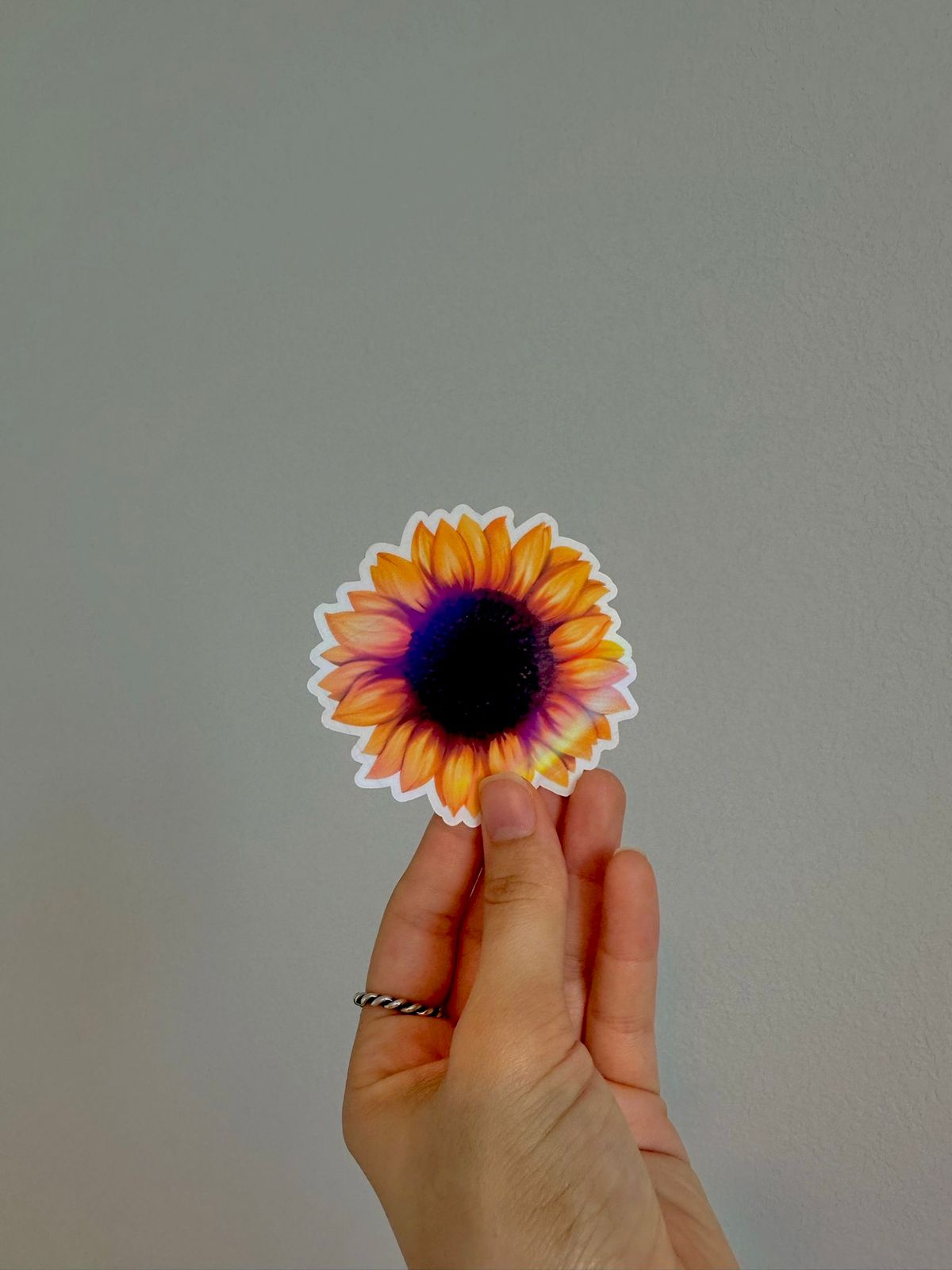 Girasol